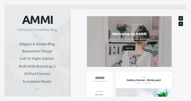 ammi - best themeforest wordpress themes